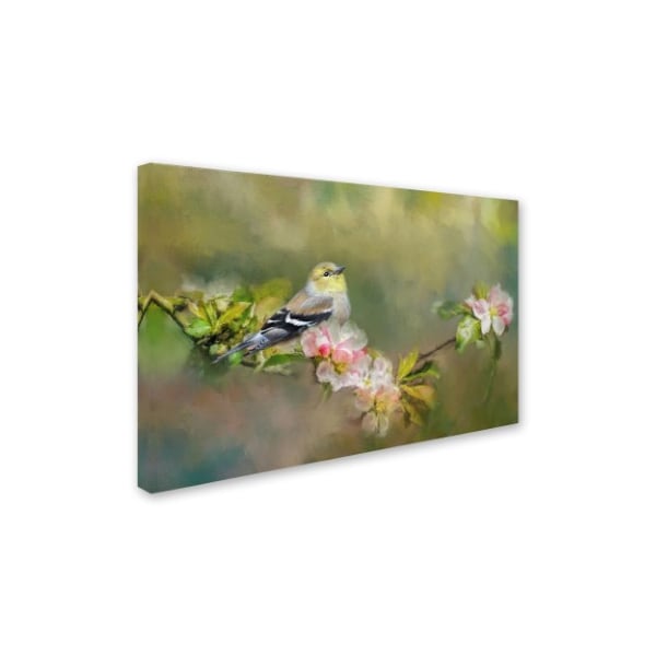 Jai Johnson 'Goldfinch In The Garden' Canvas Art,12x19